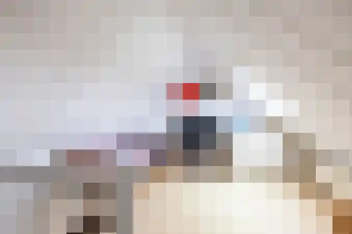 Podzolhamel 22 Assen thumbnail 67
