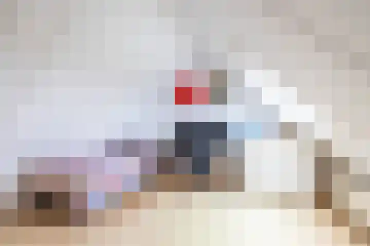Podzolhamel 22 Assen thumbnail 68