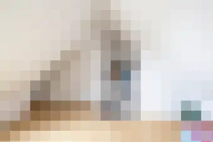 Podzolhamel 22 Assen thumbnail 69