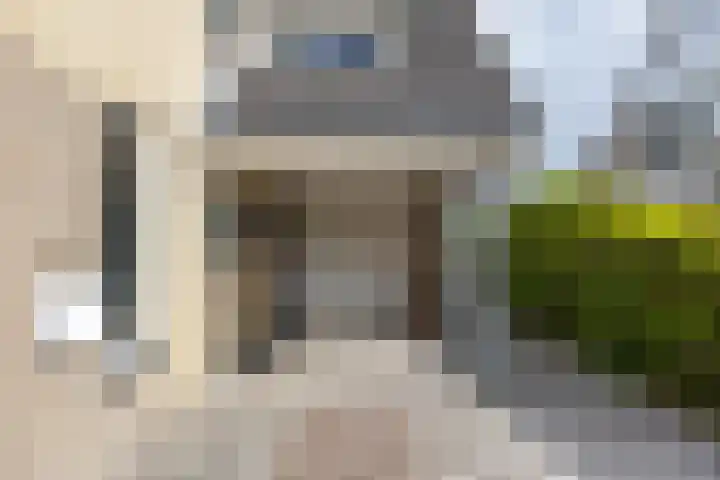 Podzolhamel 22 Assen thumbnail 7