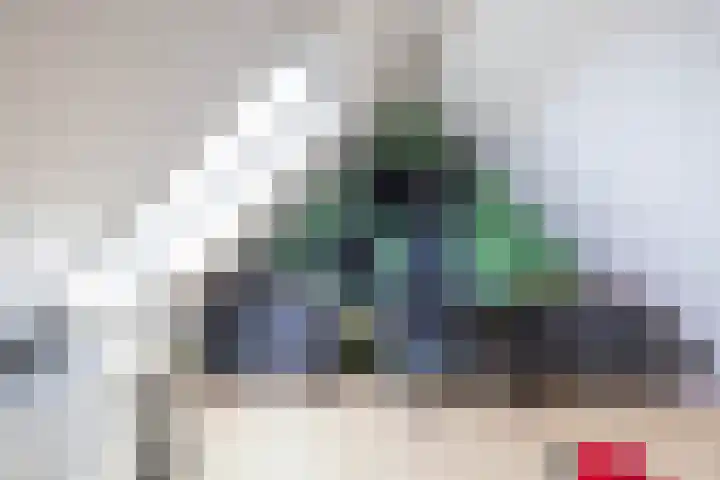 Podzolhamel 22 Assen thumbnail 72