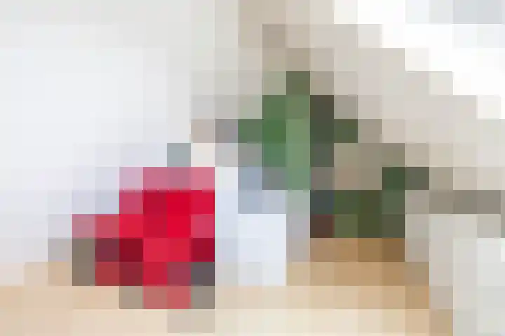 Podzolhamel 22 Assen thumbnail 73