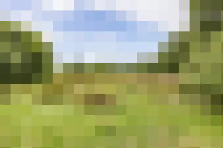 Podzolhamel 22 Assen thumbnail 75