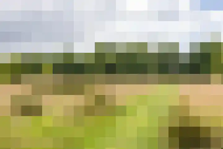 Podzolhamel 22 Assen thumbnail 76