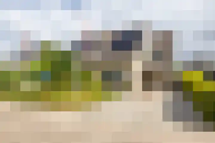 Podzolhamel 22 Assen thumbnail 79