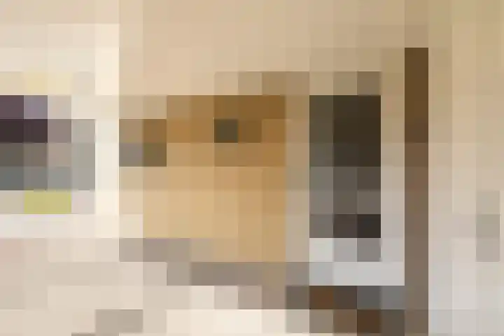 Podzolhamel 22 Assen thumbnail 8