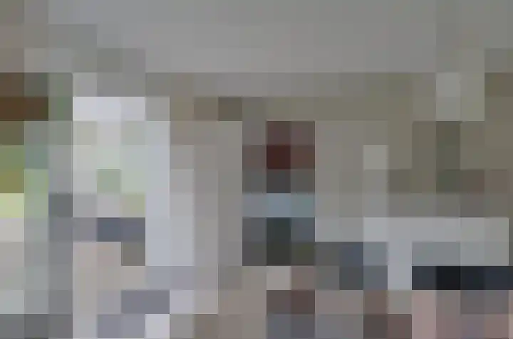 Podzolhamel 3 Assen thumbnail 11