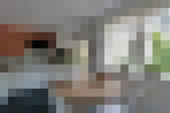 Podzolhamel 3 Assen thumbnail 13