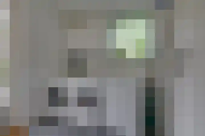 Podzolhamel 3 Assen thumbnail 15