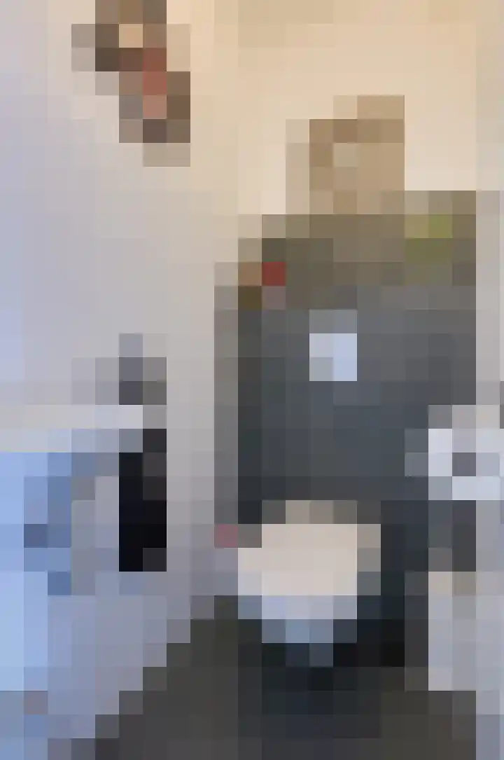 Podzolhamel 3 Assen thumbnail 17