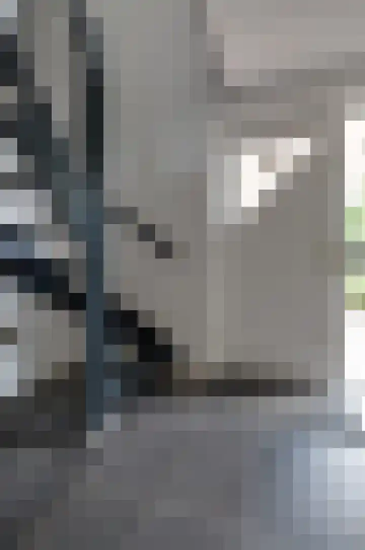Podzolhamel 3 Assen thumbnail 18