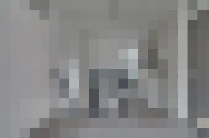 Podzolhamel 3 Assen thumbnail 19