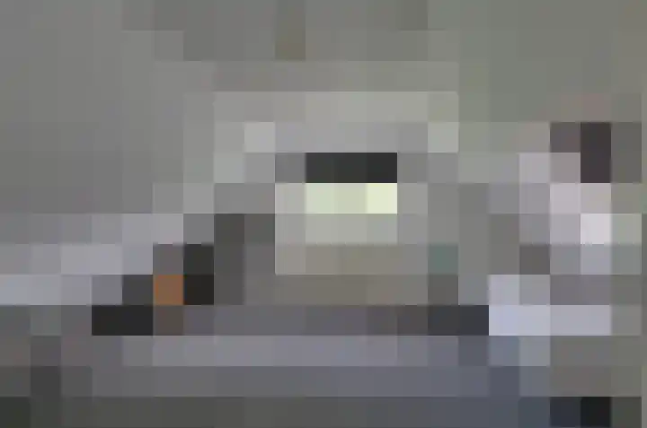 Podzolhamel 3 Assen thumbnail 20