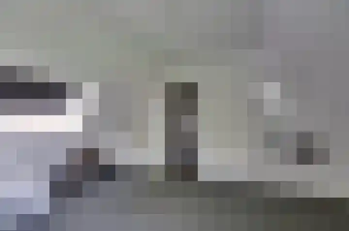 Podzolhamel 3 Assen thumbnail 21