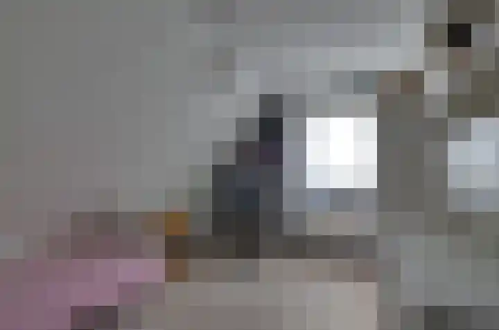 Podzolhamel 3 Assen thumbnail 23