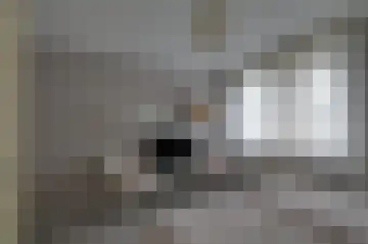 Podzolhamel 3 Assen thumbnail 25