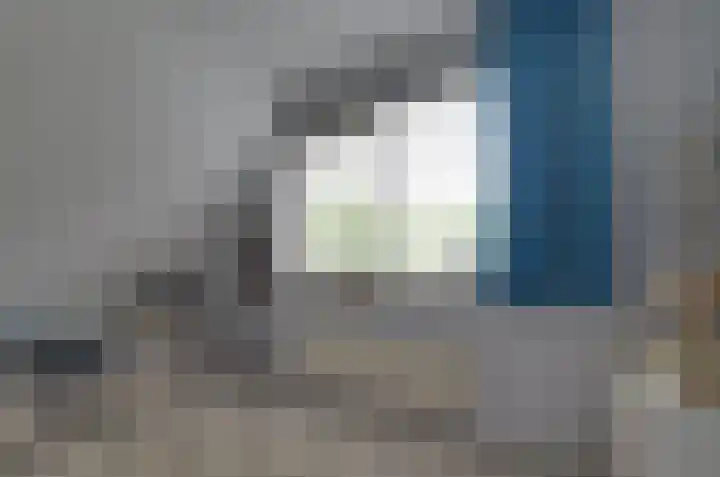 Podzolhamel 3 Assen thumbnail 26