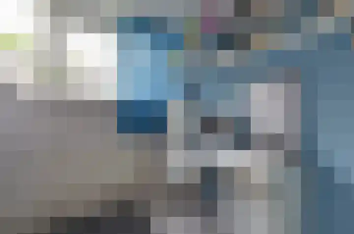 Podzolhamel 3 Assen thumbnail 27