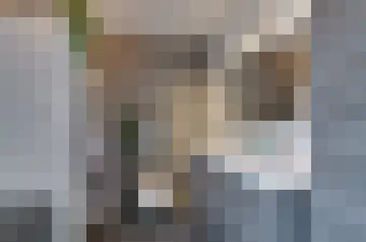 Podzolhamel 3 Assen thumbnail 29