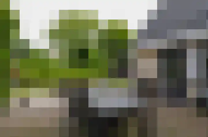 Podzolhamel 3 Assen thumbnail 31