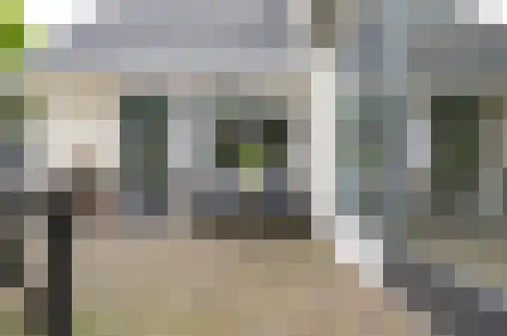 Podzolhamel 3 Assen thumbnail 32