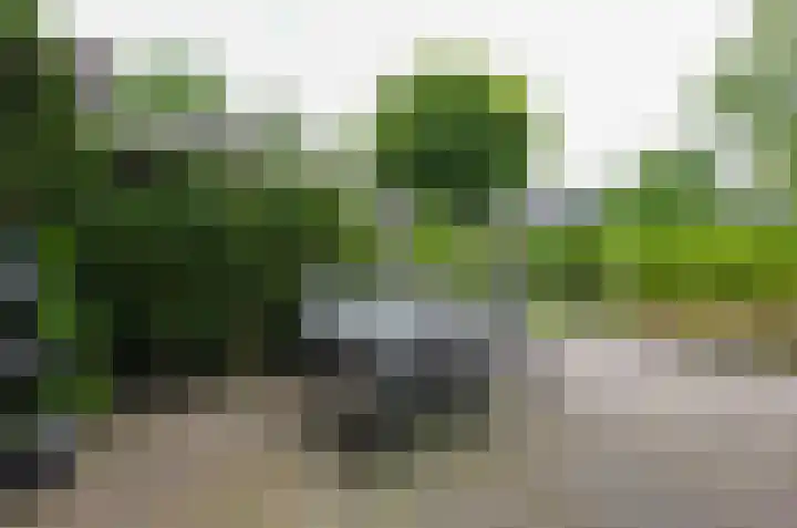 Podzolhamel 3 Assen thumbnail 33