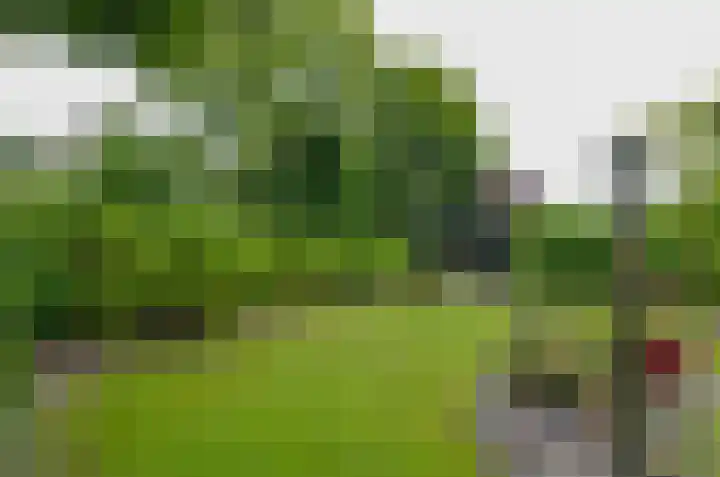 Podzolhamel 3 Assen thumbnail 34