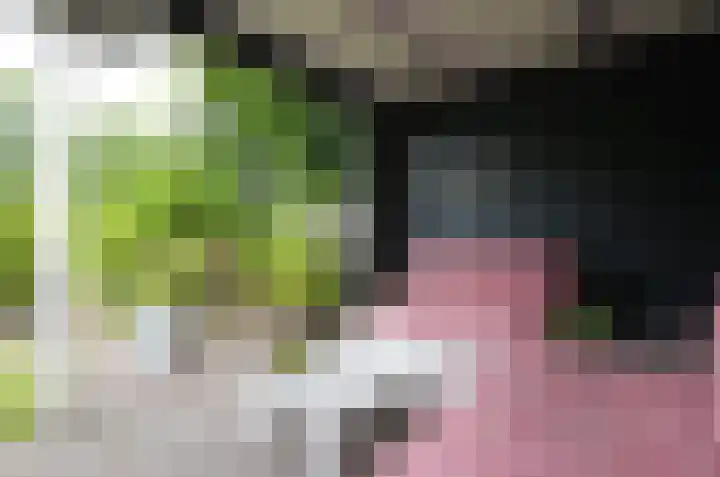 Podzolhamel 3 Assen thumbnail 36