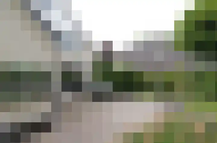 Podzolhamel 3 Assen thumbnail 38