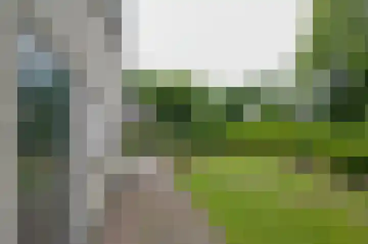 Podzolhamel 3 Assen thumbnail 39