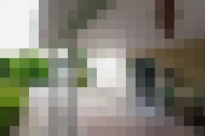 Podzolhamel 3 Assen thumbnail 40