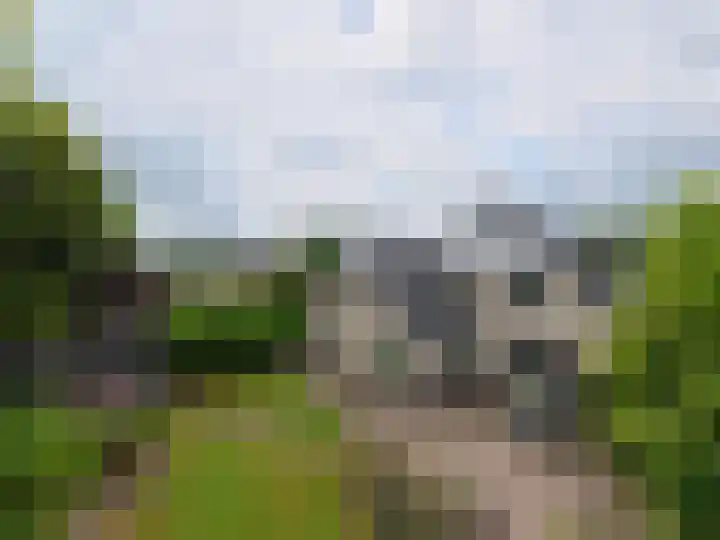 Podzolhamel 3 Assen thumbnail 41