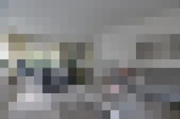 Podzolhamel 3 Assen thumbnail 5