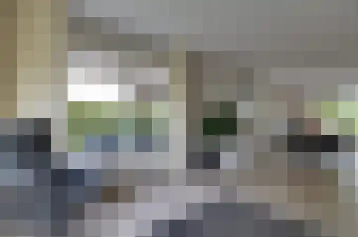 Podzolhamel 3 Assen thumbnail 7