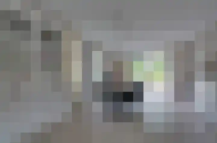 Podzolhamel 3 Assen thumbnail 8