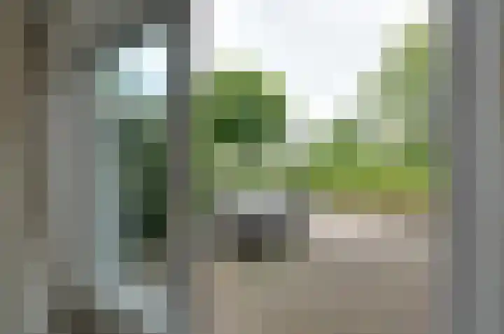 Podzolhamel 3 Assen thumbnail 9