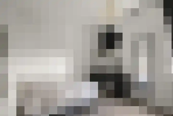 Poederooienstraat 125 Amsterdam thumbnail 17