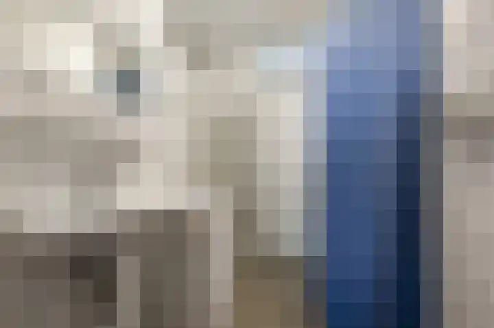 Poederooienstraat 125 Amsterdam thumbnail 9