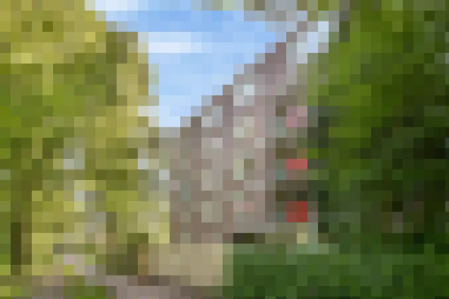 Poederooienstraat 9 Amsterdam thumbnail 17
