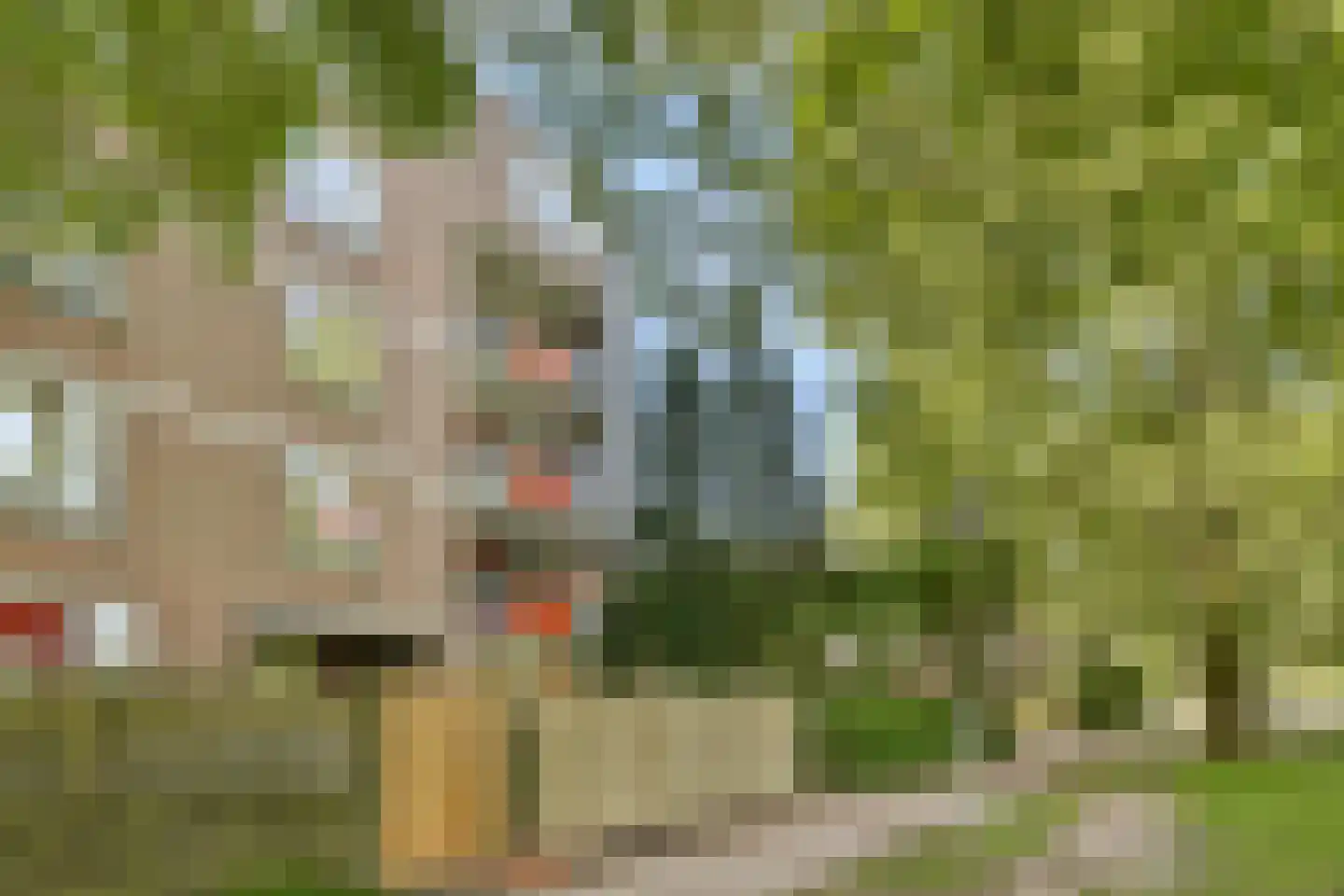 Poederooienstraat 9 Amsterdam thumbnail 18