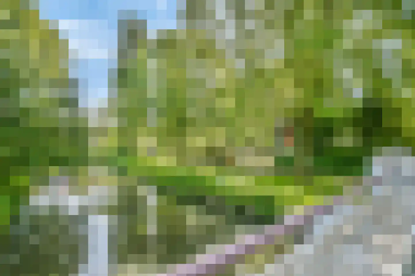 Poederooienstraat 9 Amsterdam thumbnail 19