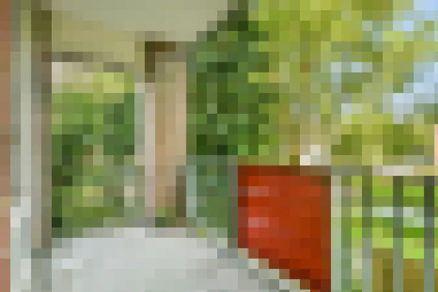 Poederooienstraat 9 Amsterdam thumbnail 5