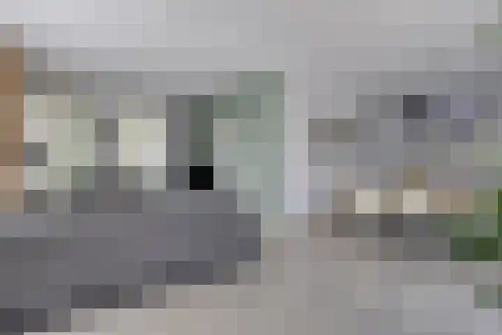 Poedersvoort 28 Helmond thumbnail 13