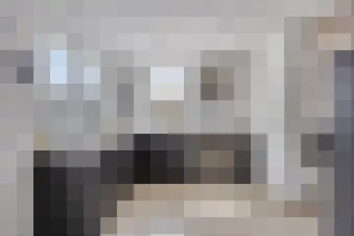 Poedersvoort 28 Helmond thumbnail 18