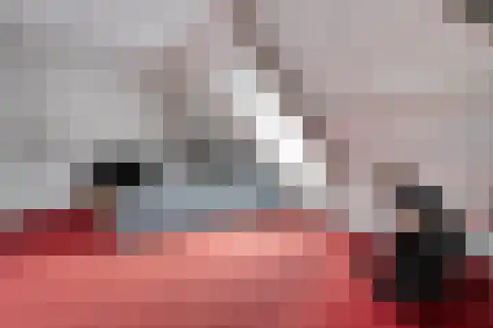Poedersvoort 28 Helmond thumbnail 42