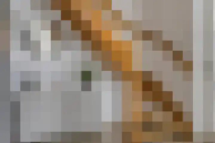 Poedersvoort 28 Helmond thumbnail 7