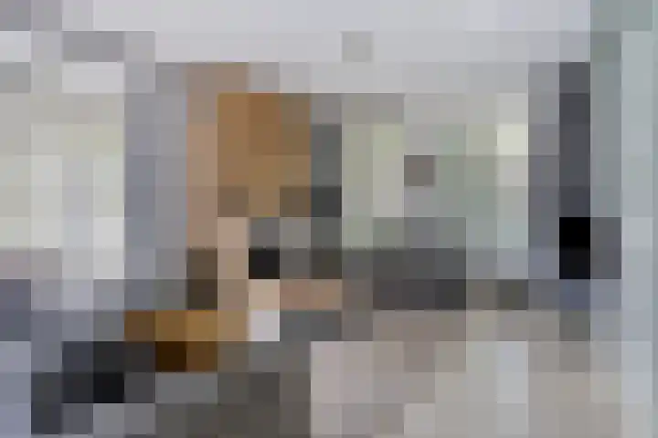Poedersvoort 28 Helmond thumbnail 9