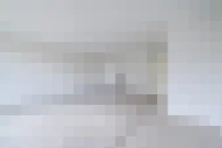 Poeierhei 10 Veldhoven thumbnail 10