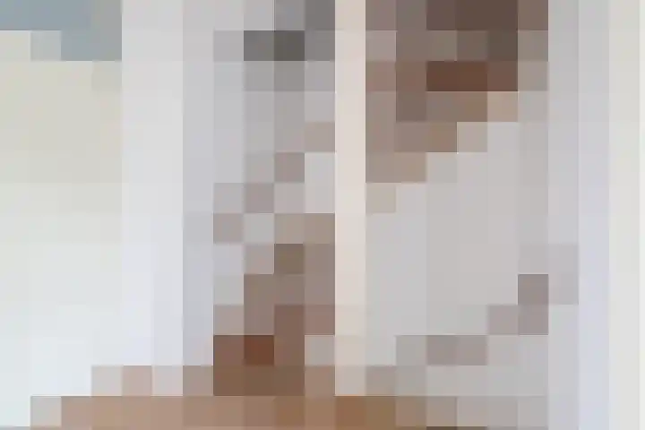 Poeierhei 10 Veldhoven thumbnail 16