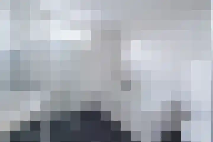 Poeierhei 10 Veldhoven thumbnail 23
